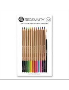 PASTELLI TINTA UNITA ACQUARELLABILI 12 COLORI C-PENNELLO ART 49730 POO