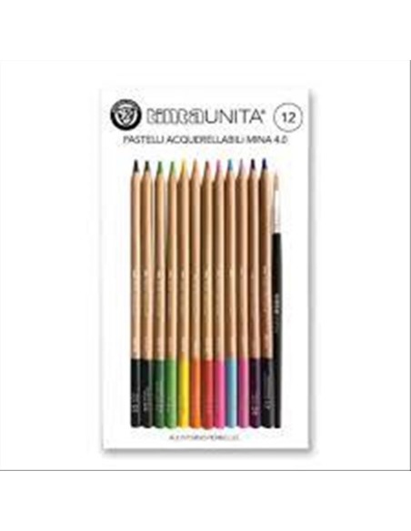 PASTELLI TINTA UNITA ACQUARELLABILI 12 COLORI C-PENNELLO ART 49730 POO PASTELLI TINTA UNITA ACQUARELLABILI 12 COLORI C-PENNELLO ART 49730 POO
